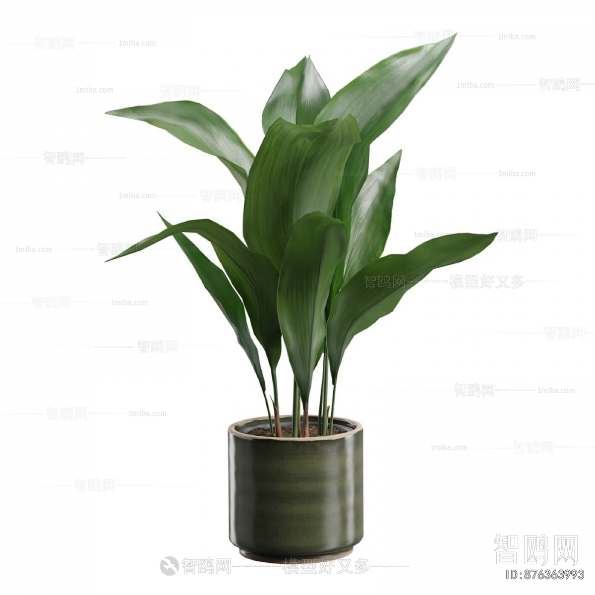 Modern Ground Green Plant Potted Plants