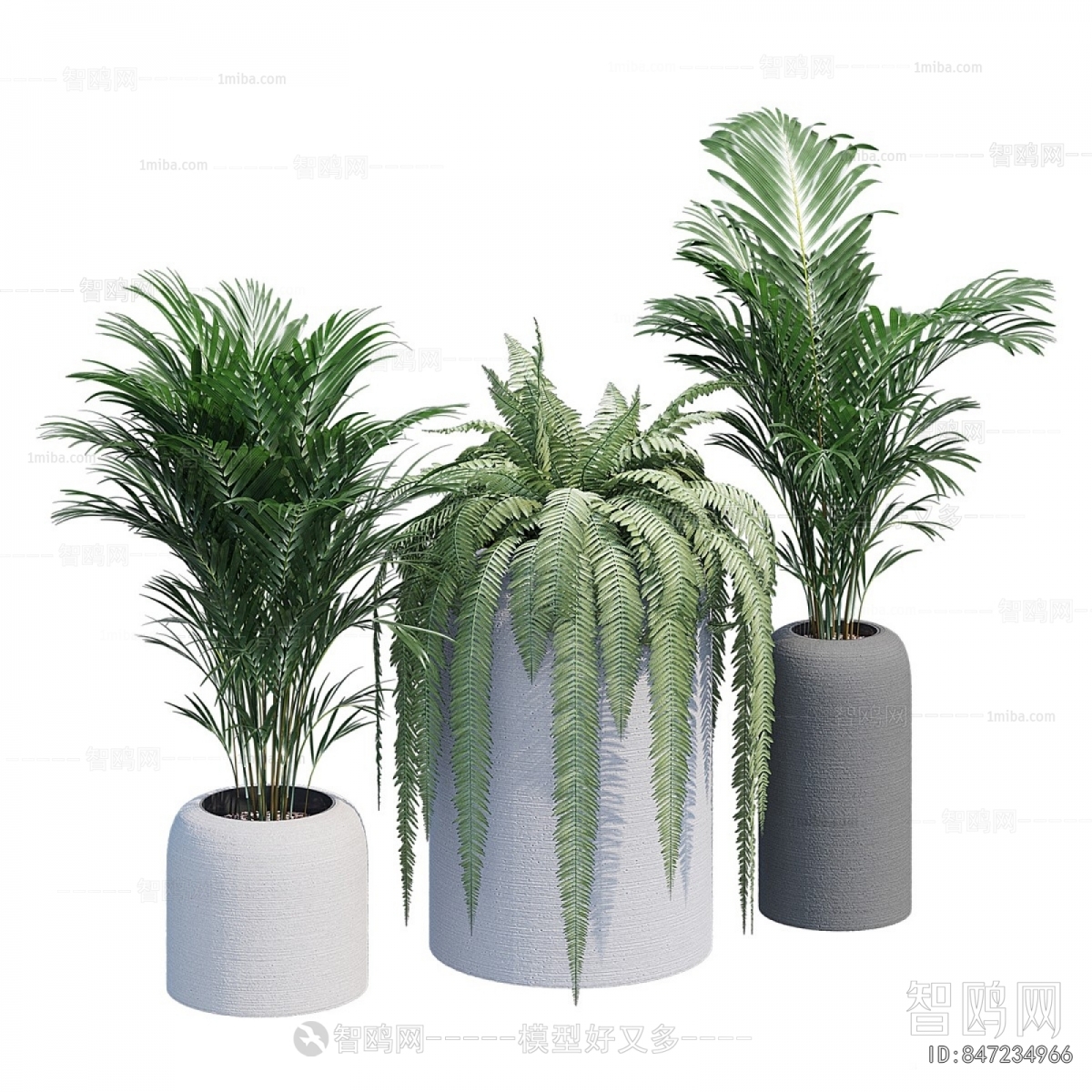 Modern Ground Green Plant Potted Plants