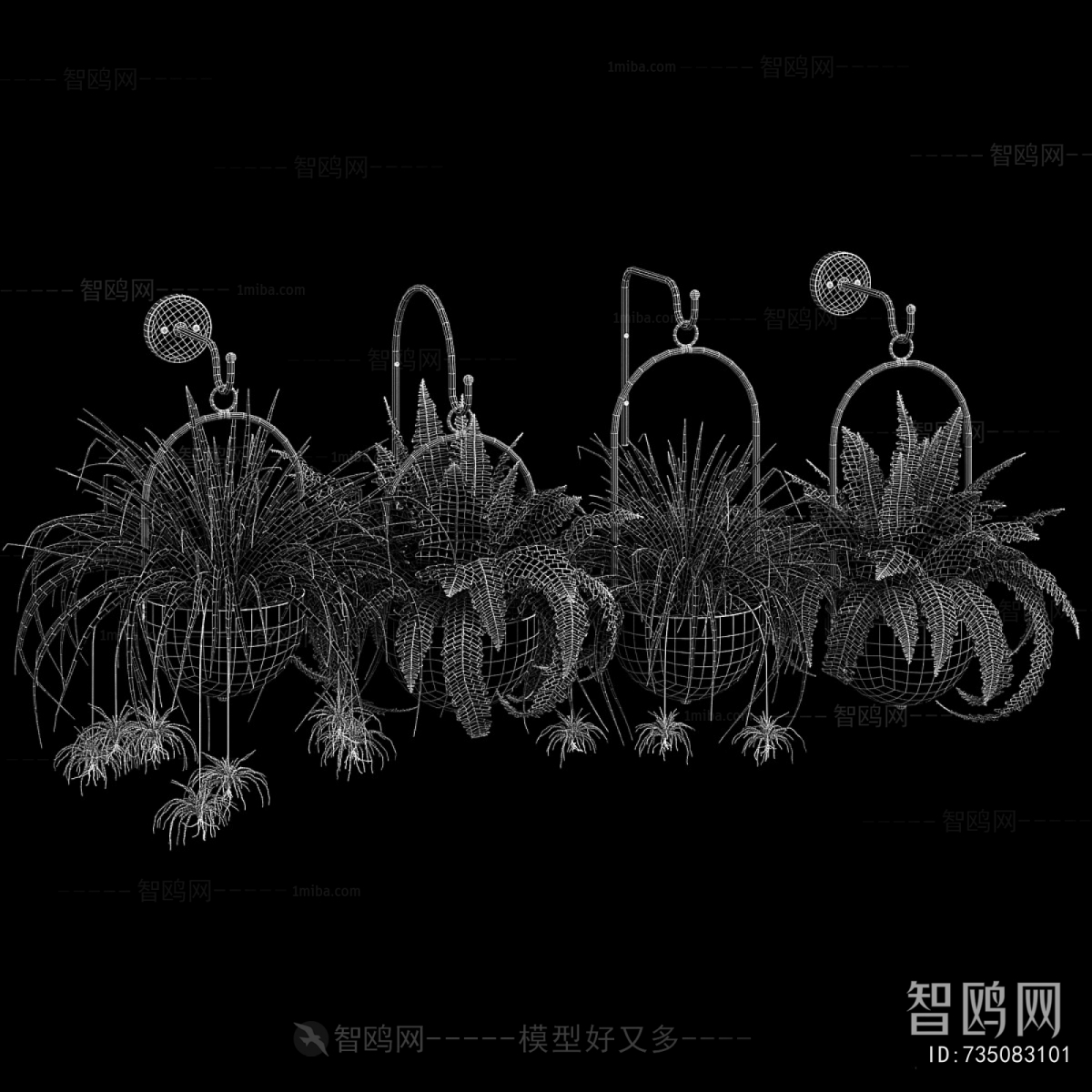 Modern Chlorophytum Comosum