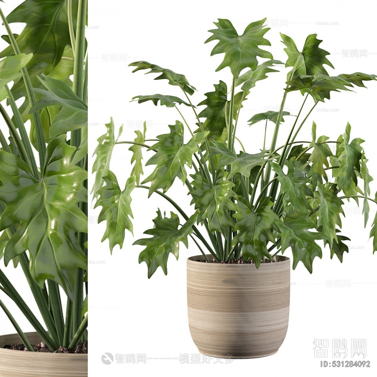 Modern Potted Green Plant