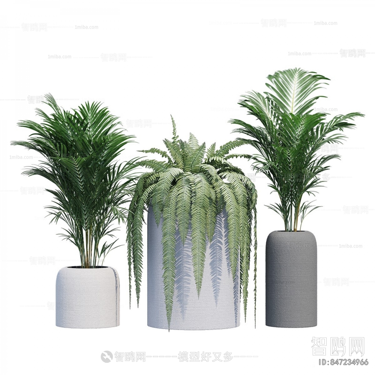 Modern Ground Green Plant Potted Plants