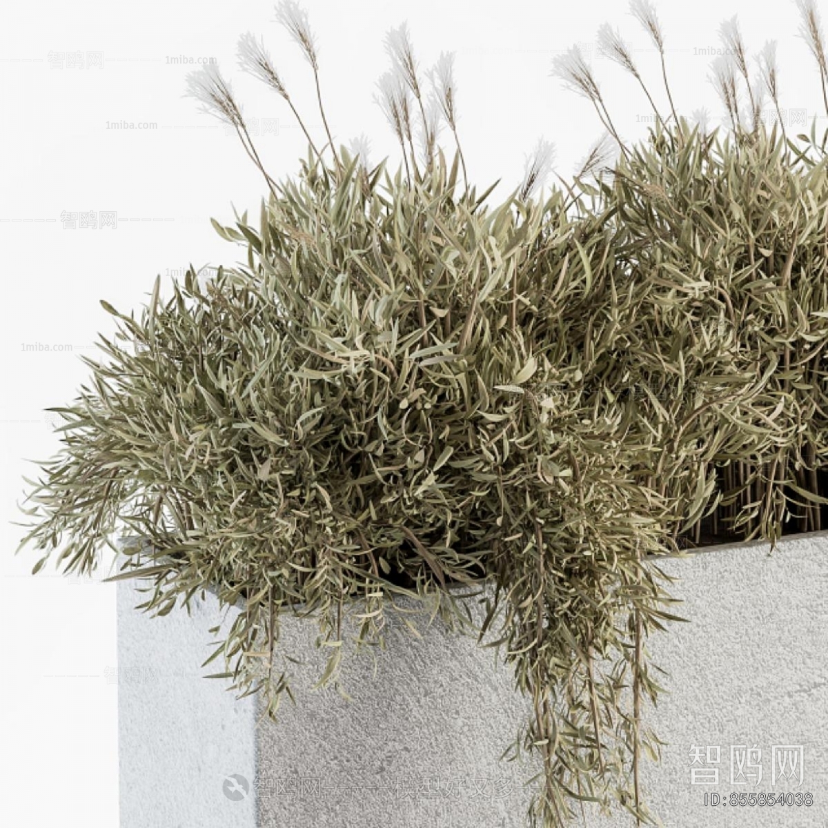 Modern Flower Bed, Flower Bowl, Flower Box