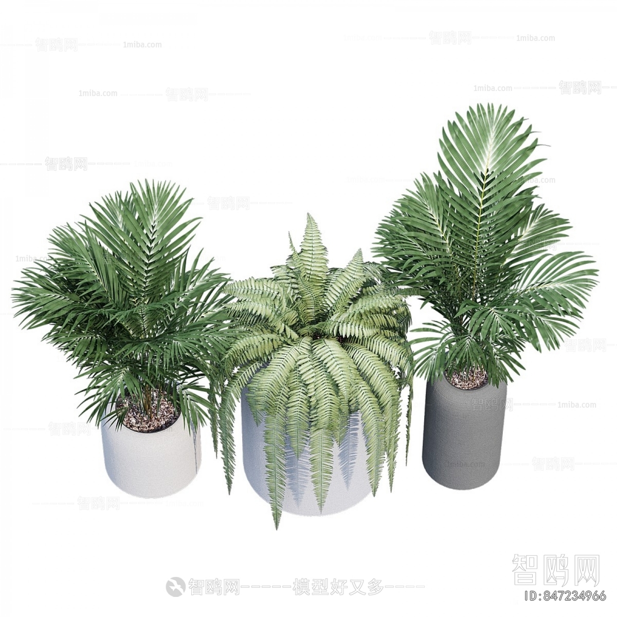 Modern Ground Green Plant Potted Plants