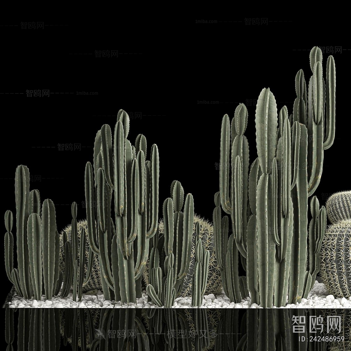 Modern Plant Landscaping