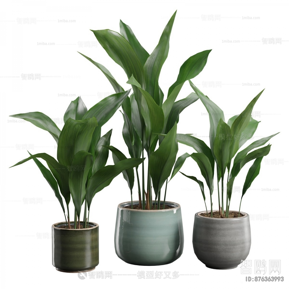 Modern Ground Green Plant Potted Plants