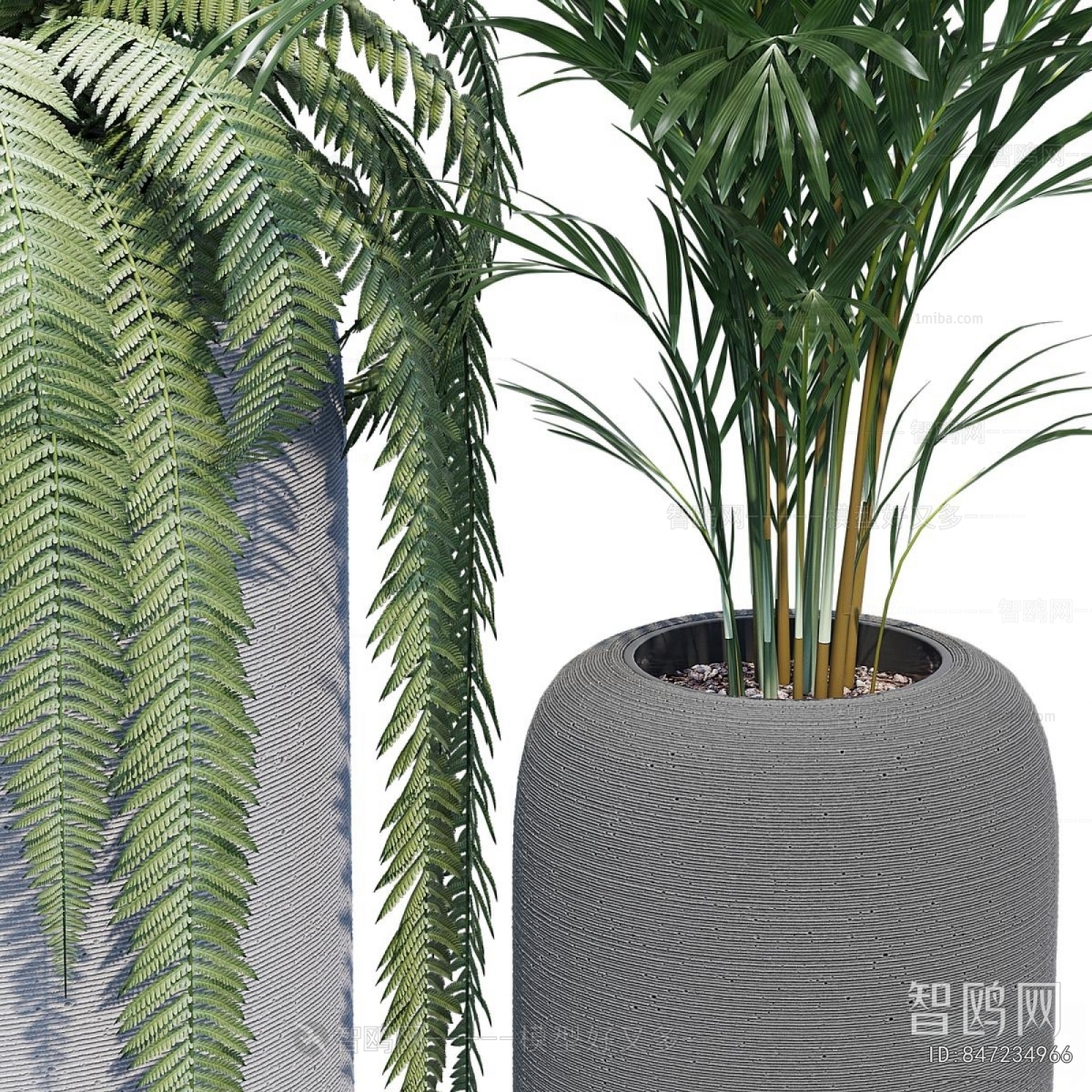 Modern Ground Green Plant Potted Plants