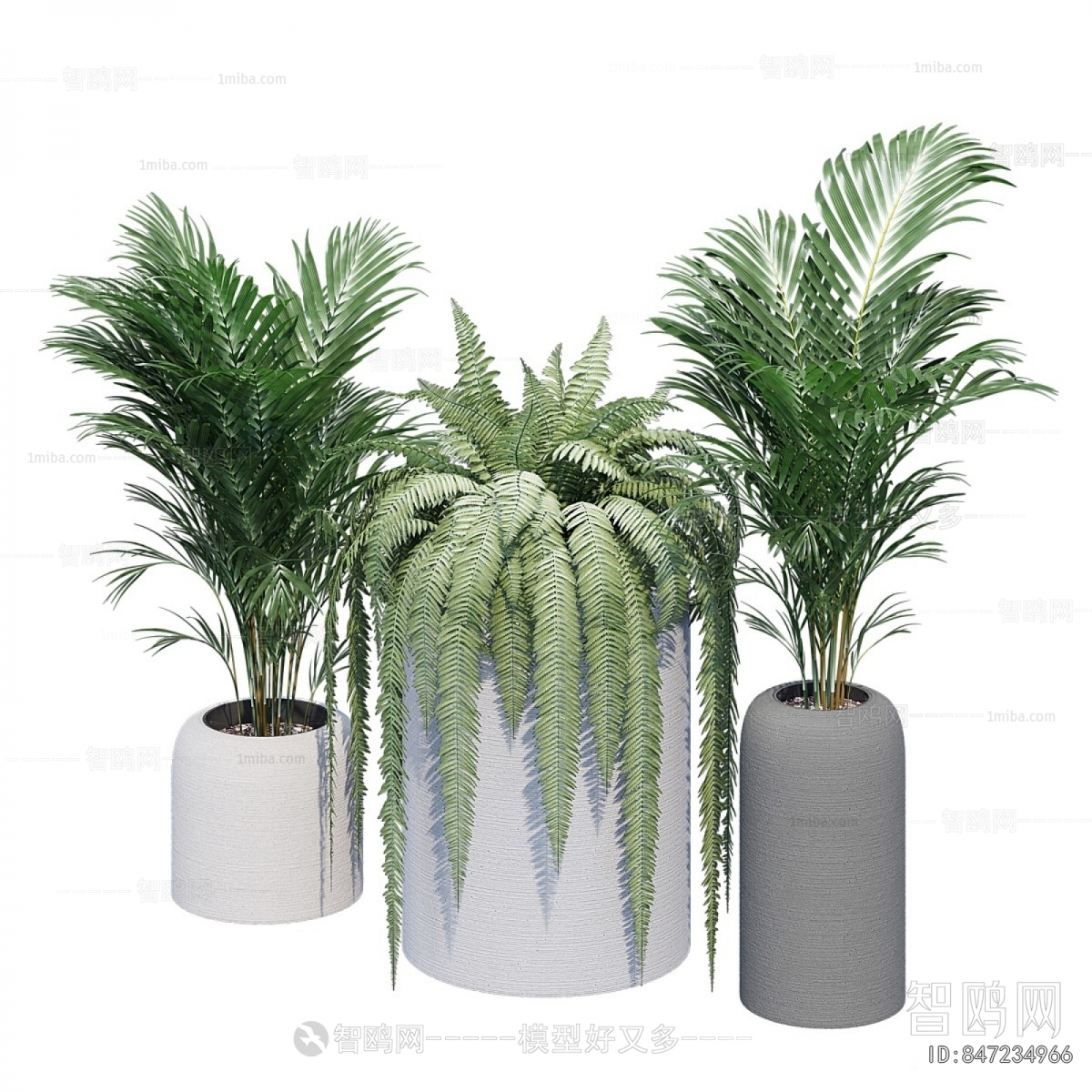 Modern Ground Green Plant Potted Plants