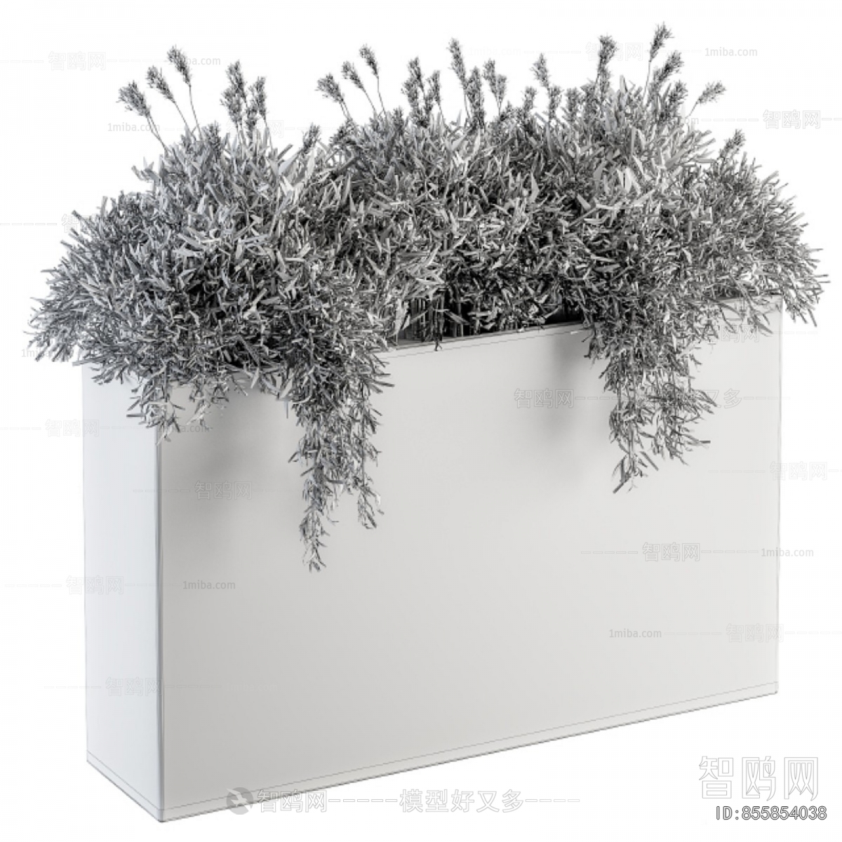 Modern Flower Bed, Flower Bowl, Flower Box