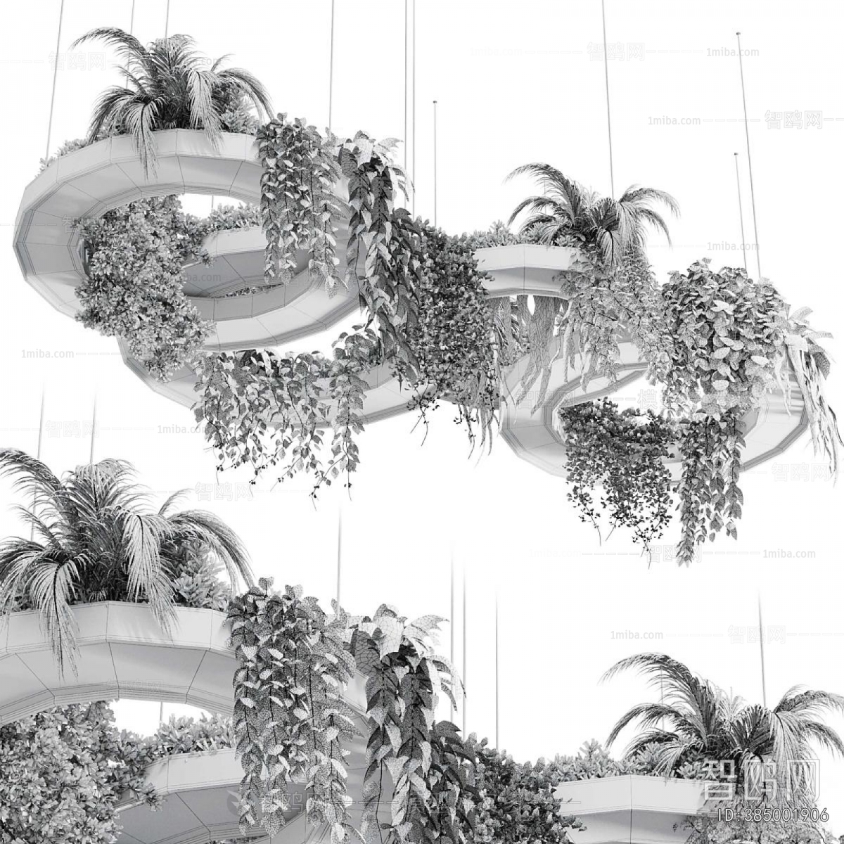 Modern Chlorophytum Comosum