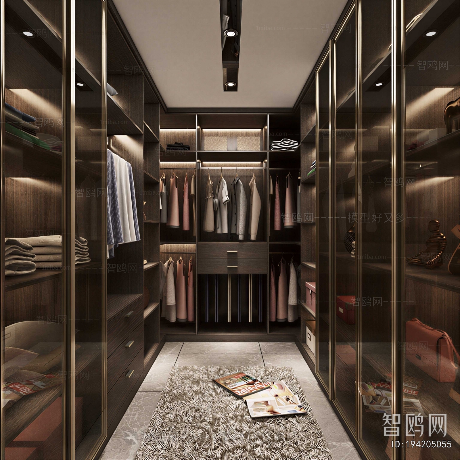 Modern Clothes Storage Area