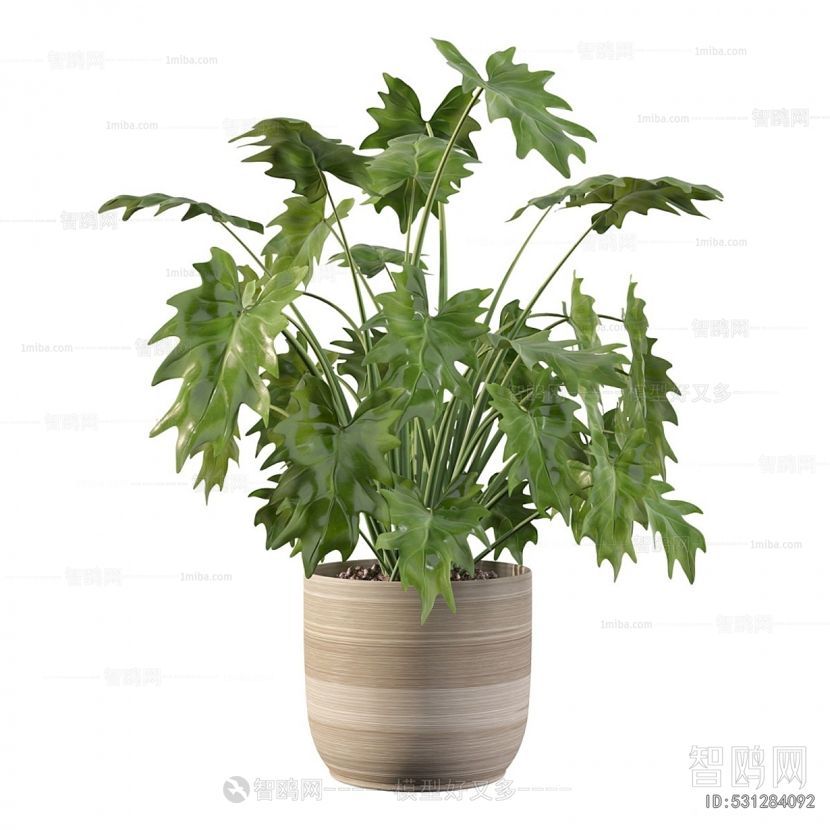 Modern Potted Green Plant