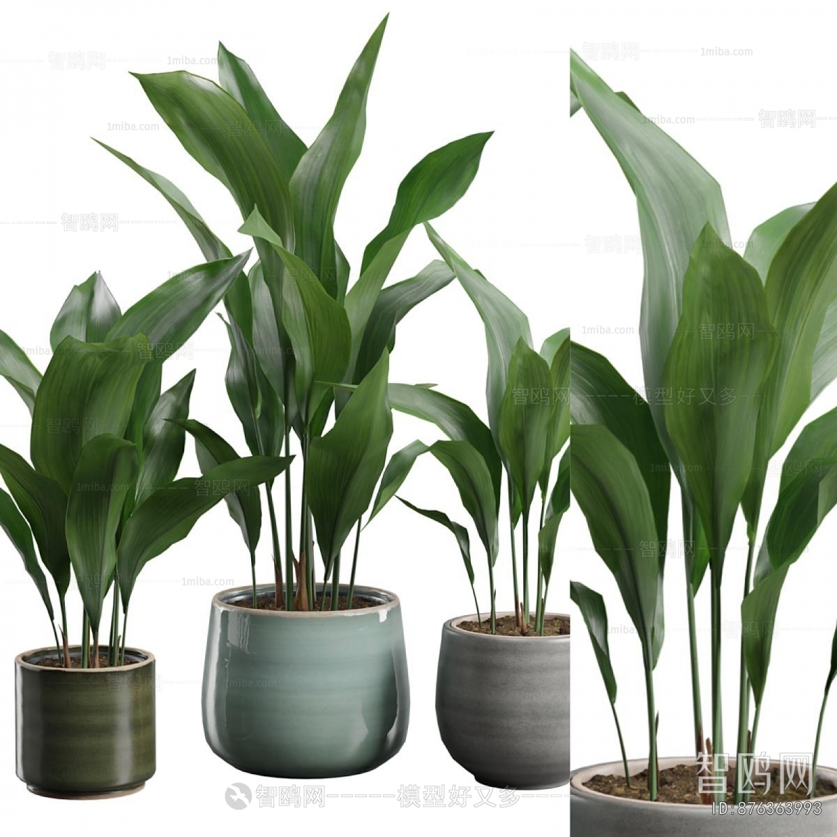 Modern Ground Green Plant Potted Plants