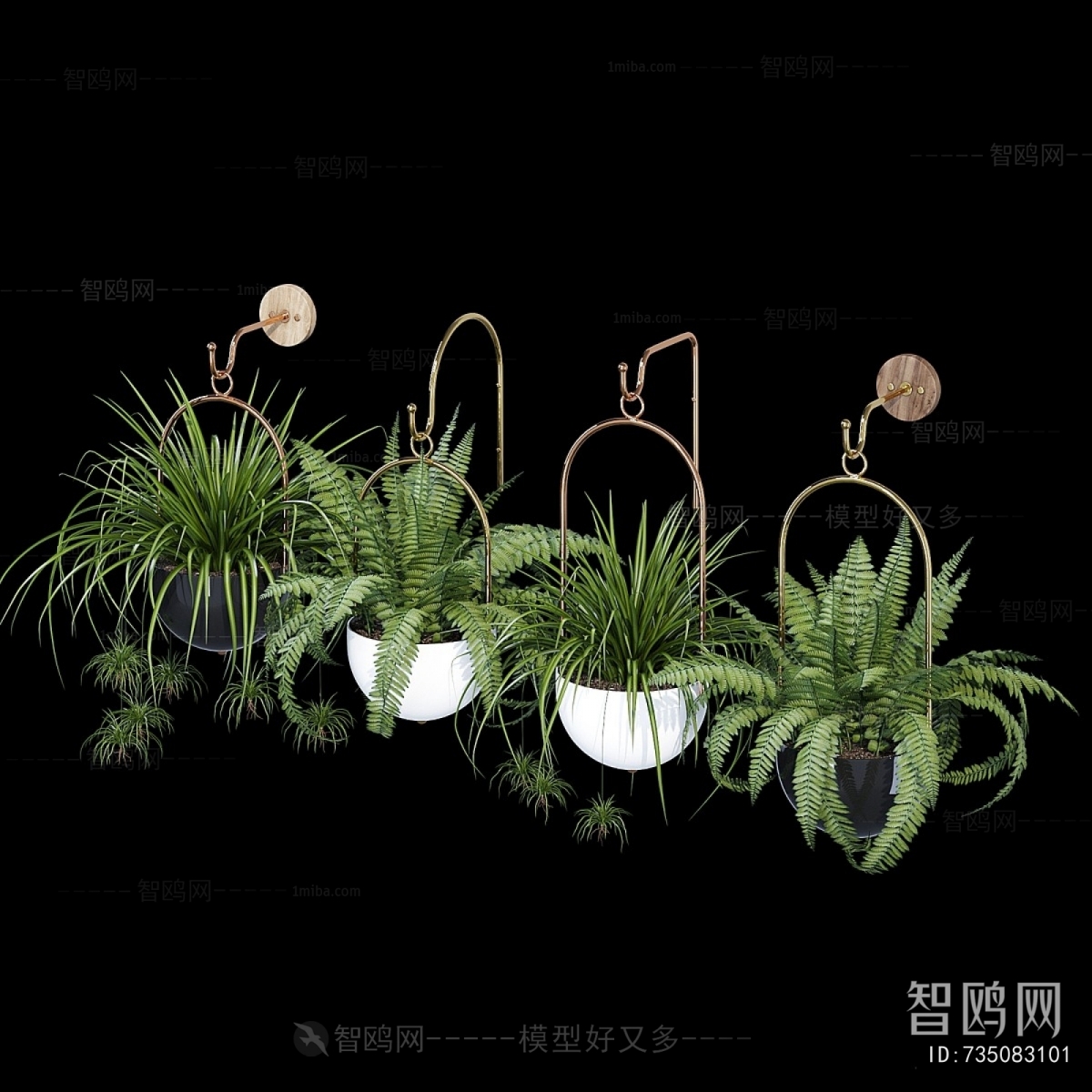 Modern Chlorophytum Comosum