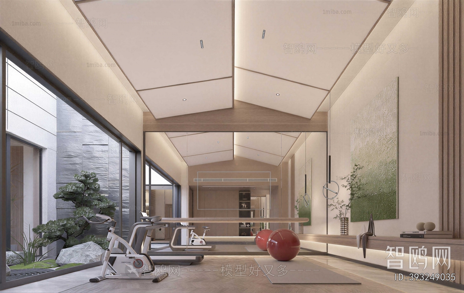 Modern Home Fitness Room