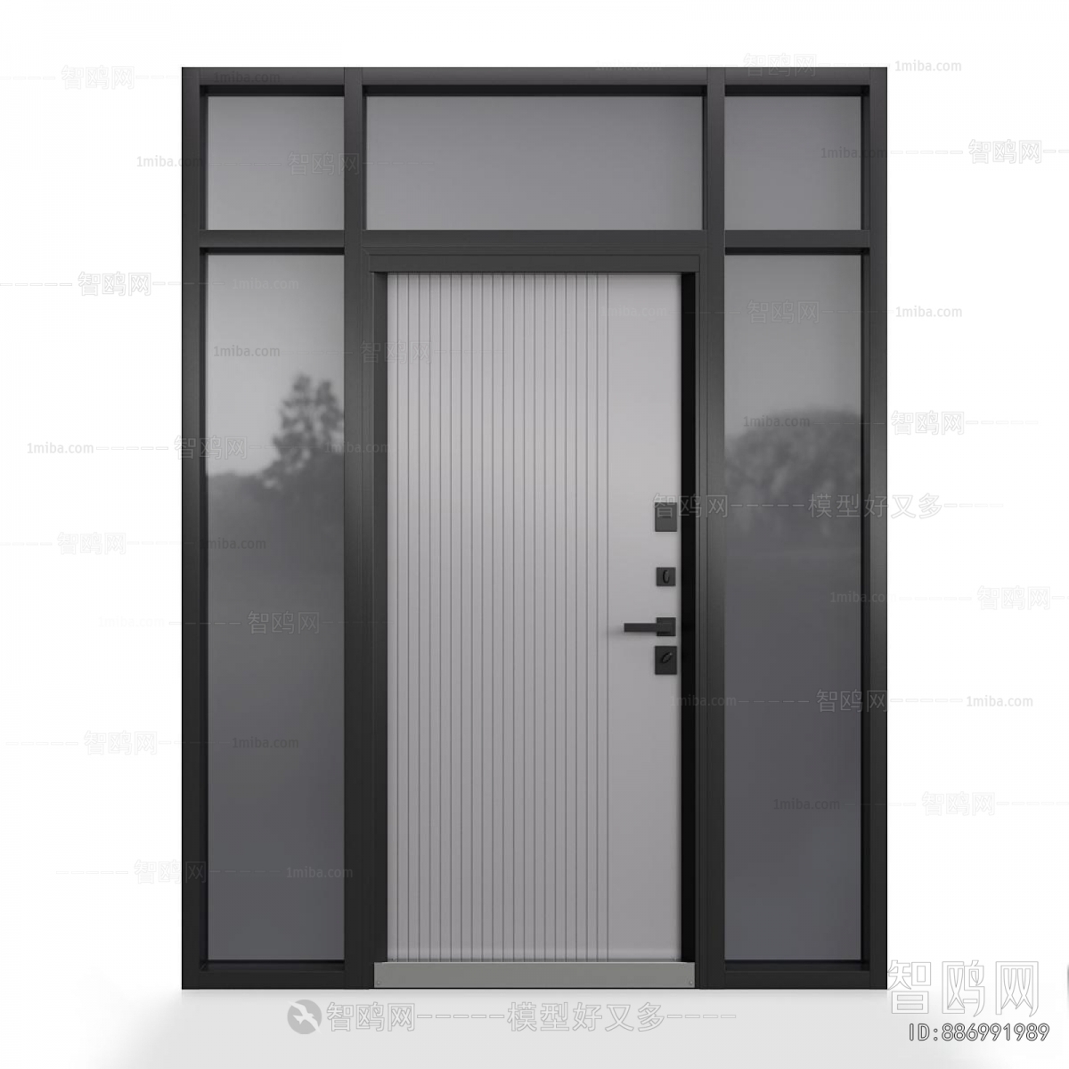 Modern Entrance Door
