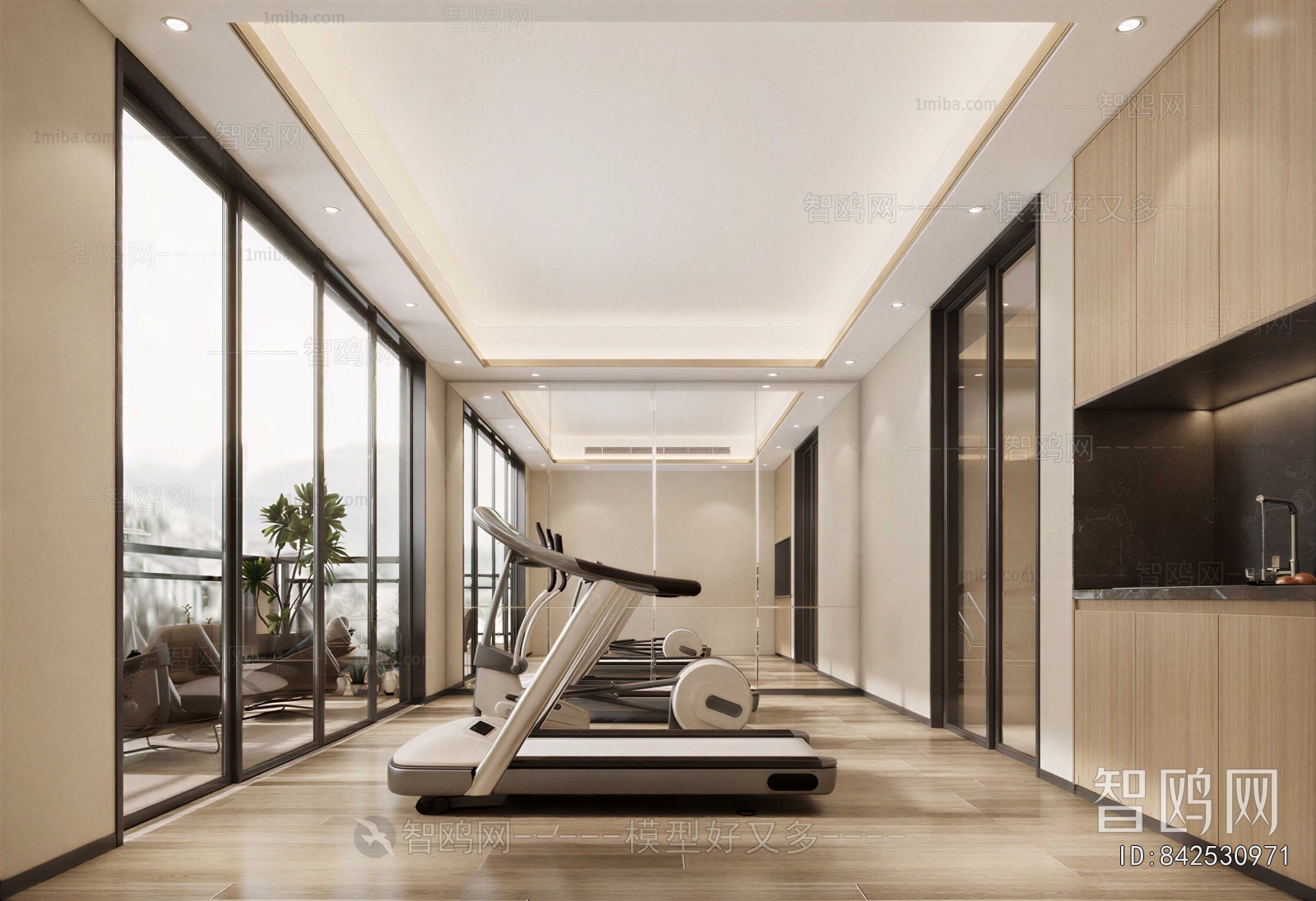 Modern Home Fitness Room