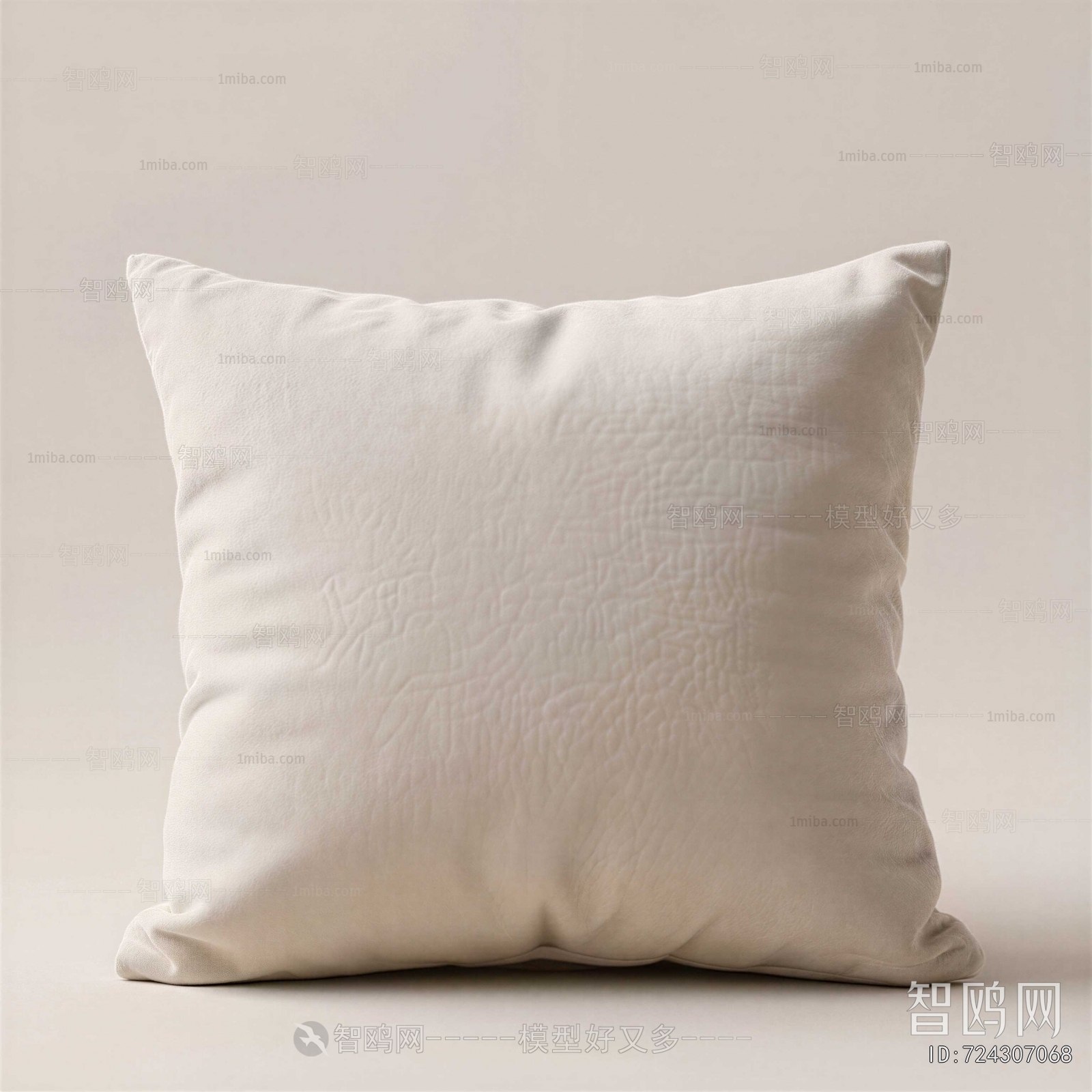Modern Pillow
