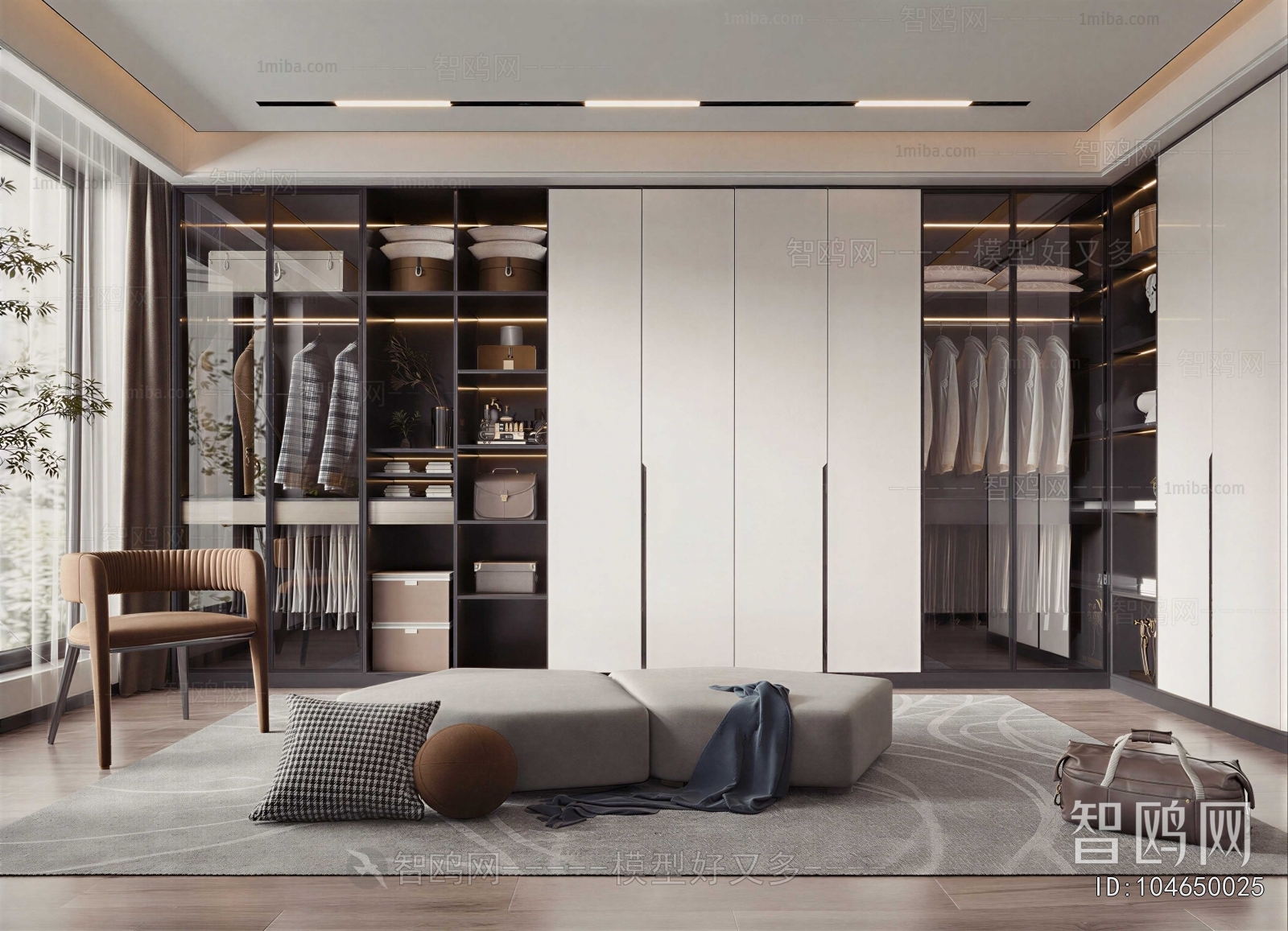 Modern Clothes Storage Area