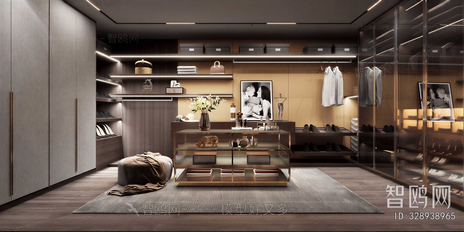 Modern Clothes Storage Area