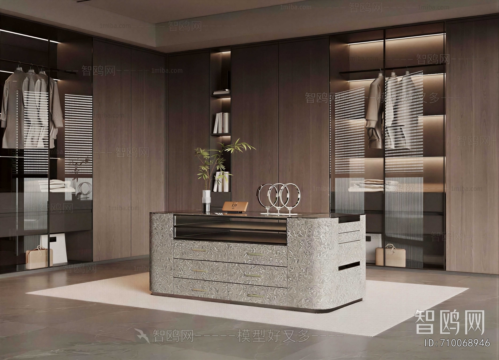 Modern Clothes Storage Area