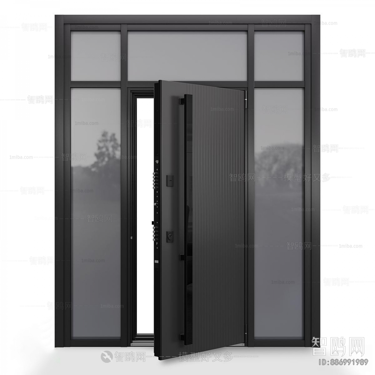 Modern Entrance Door