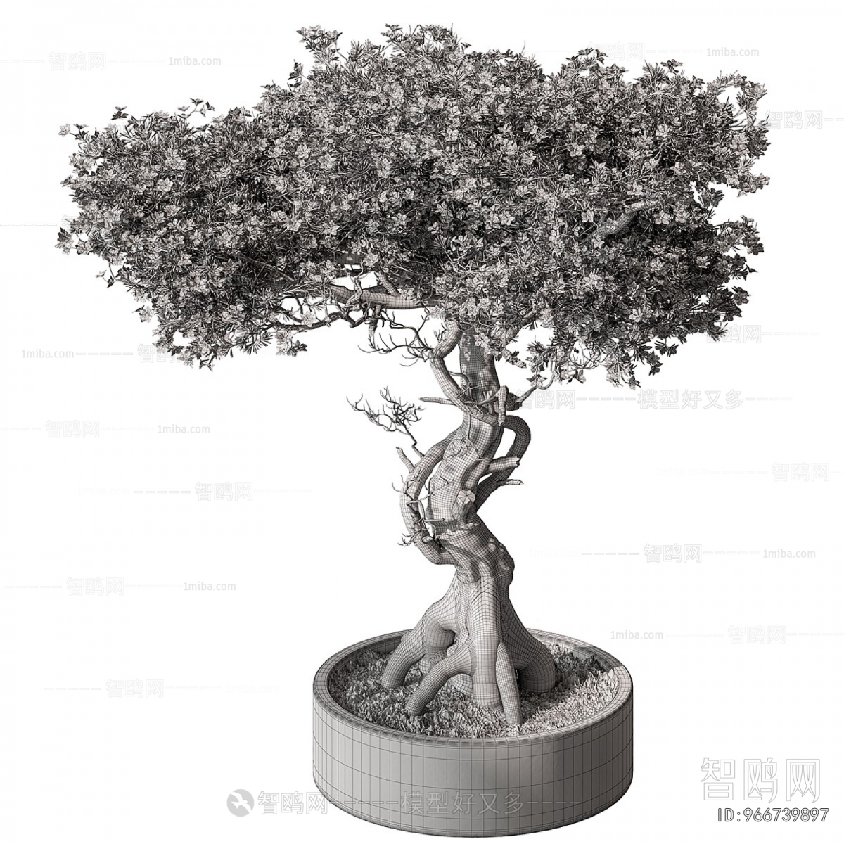 Modern Ground Green Plant Potted Plants