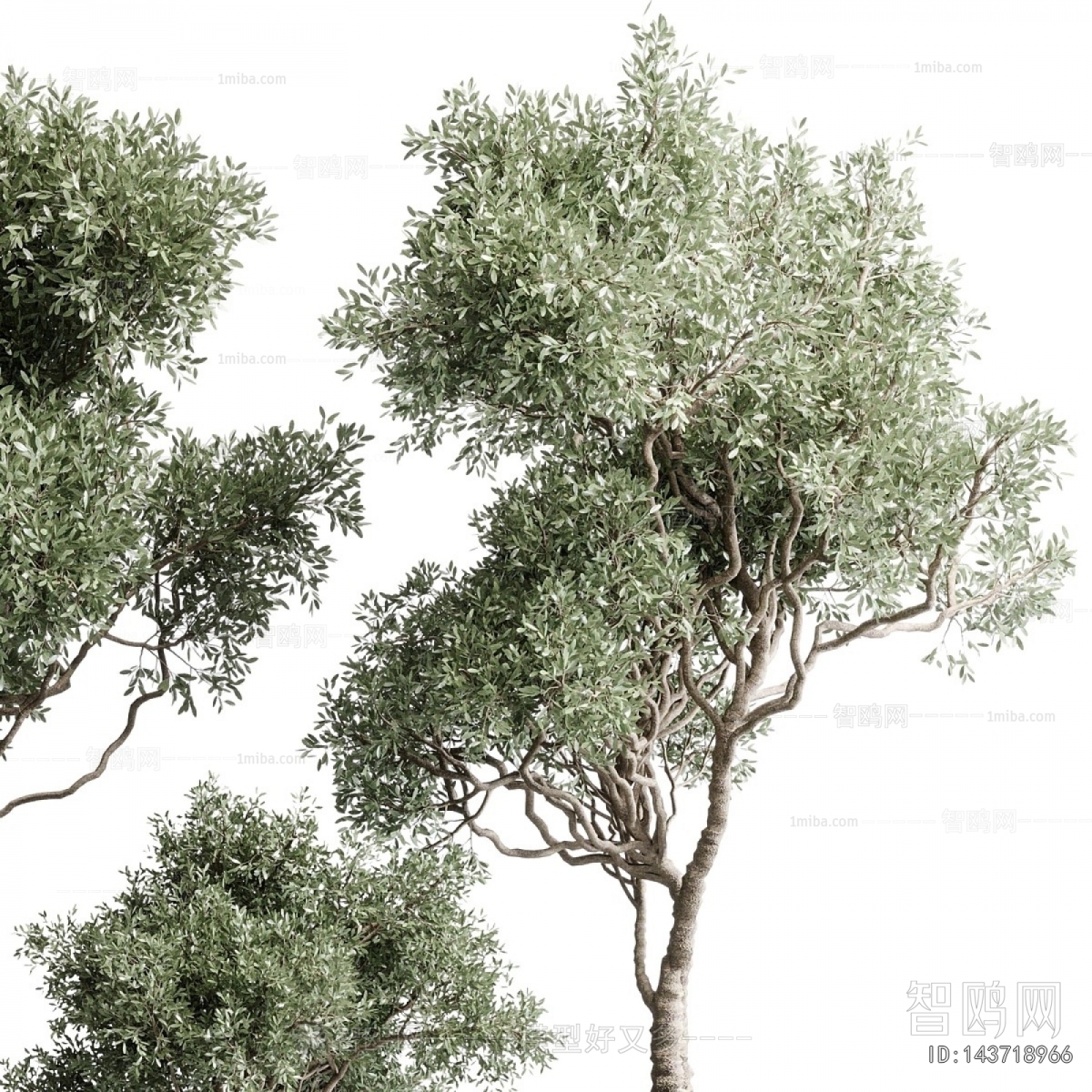 Modern Ground Green Plant Potted Plants