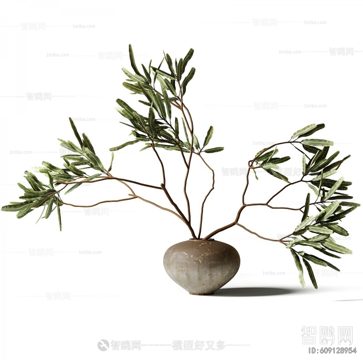 Wabi-sabi Style Aquatic Green Plant