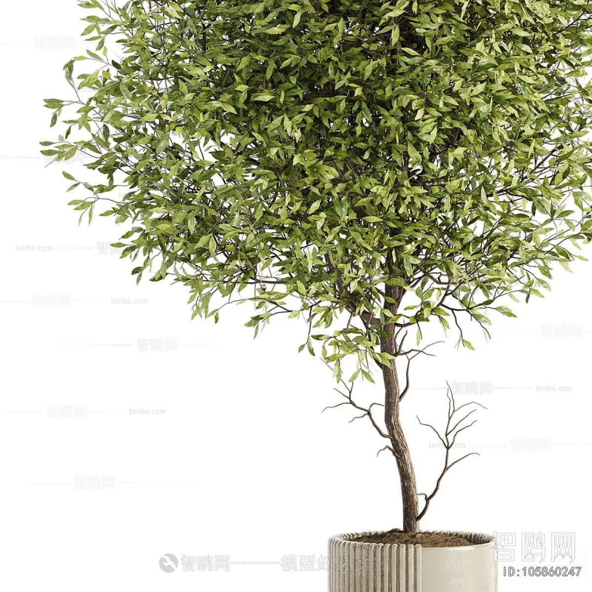 Modern Ground Green Plant Potted Plants