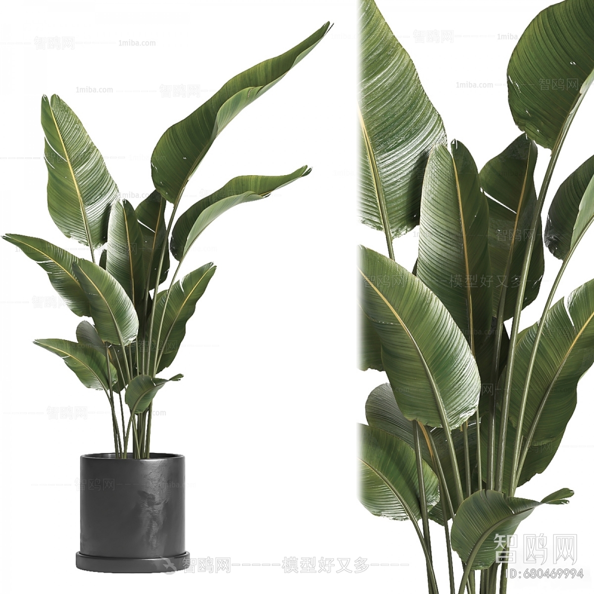Modern Ground Green Plant Potted Plants