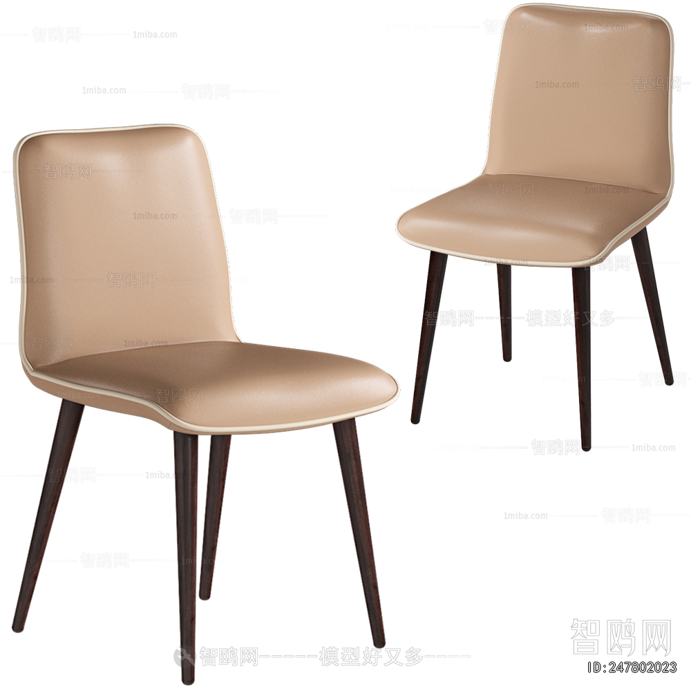 Modern Dining Chair