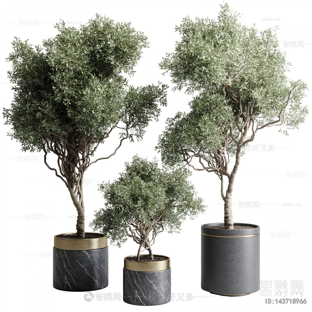Modern Ground Green Plant Potted Plants