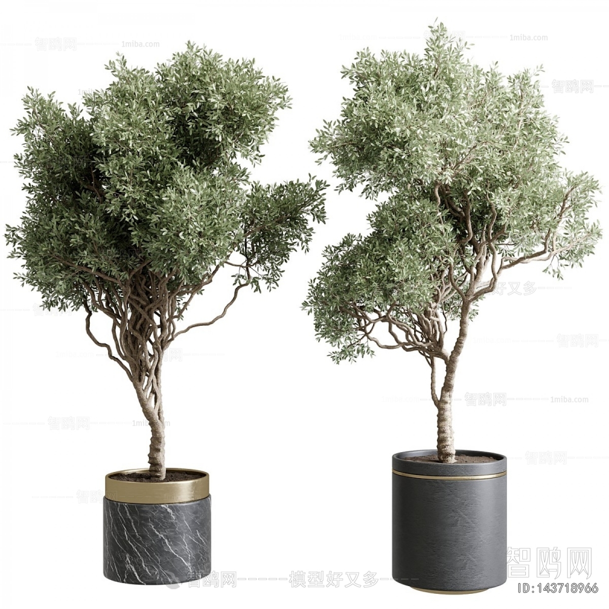 Modern Ground Green Plant Potted Plants