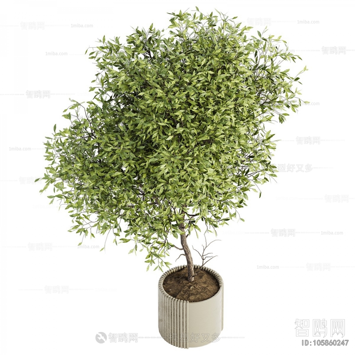 Modern Ground Green Plant Potted Plants