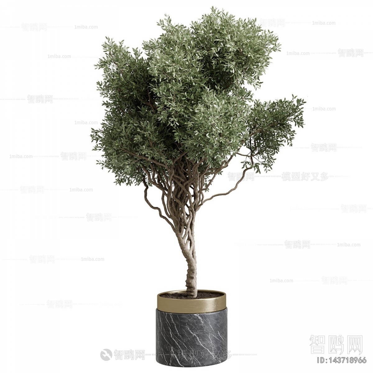 Modern Ground Green Plant Potted Plants