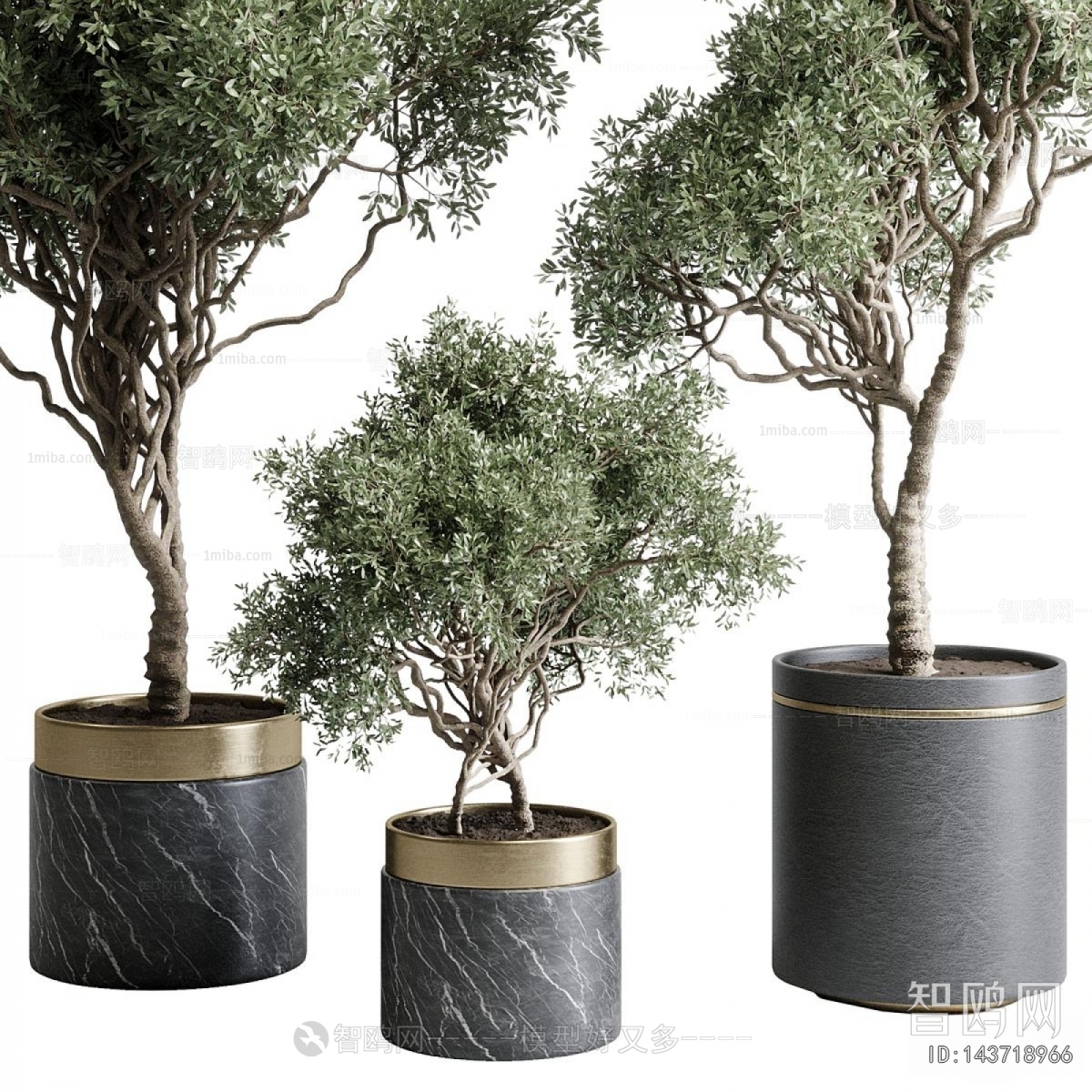 Modern Ground Green Plant Potted Plants