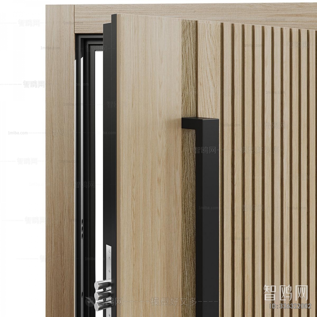 Modern Entrance Door