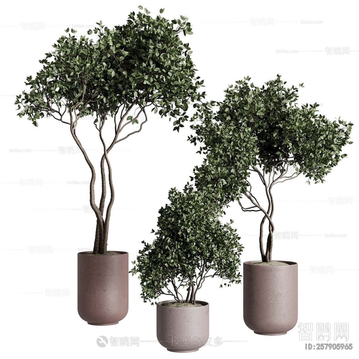 Modern Ground Green Plant Potted Plants