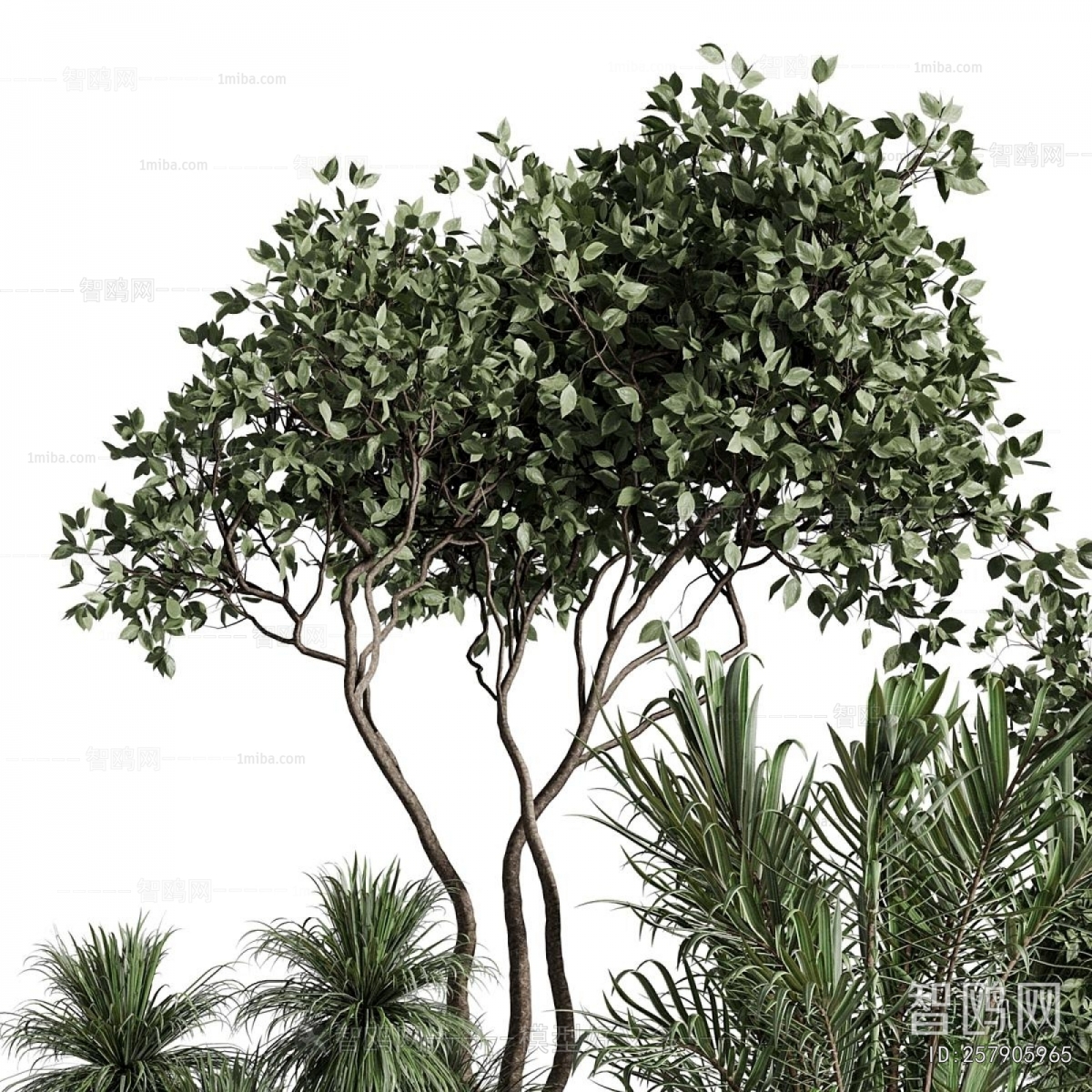 Modern Ground Green Plant Potted Plants