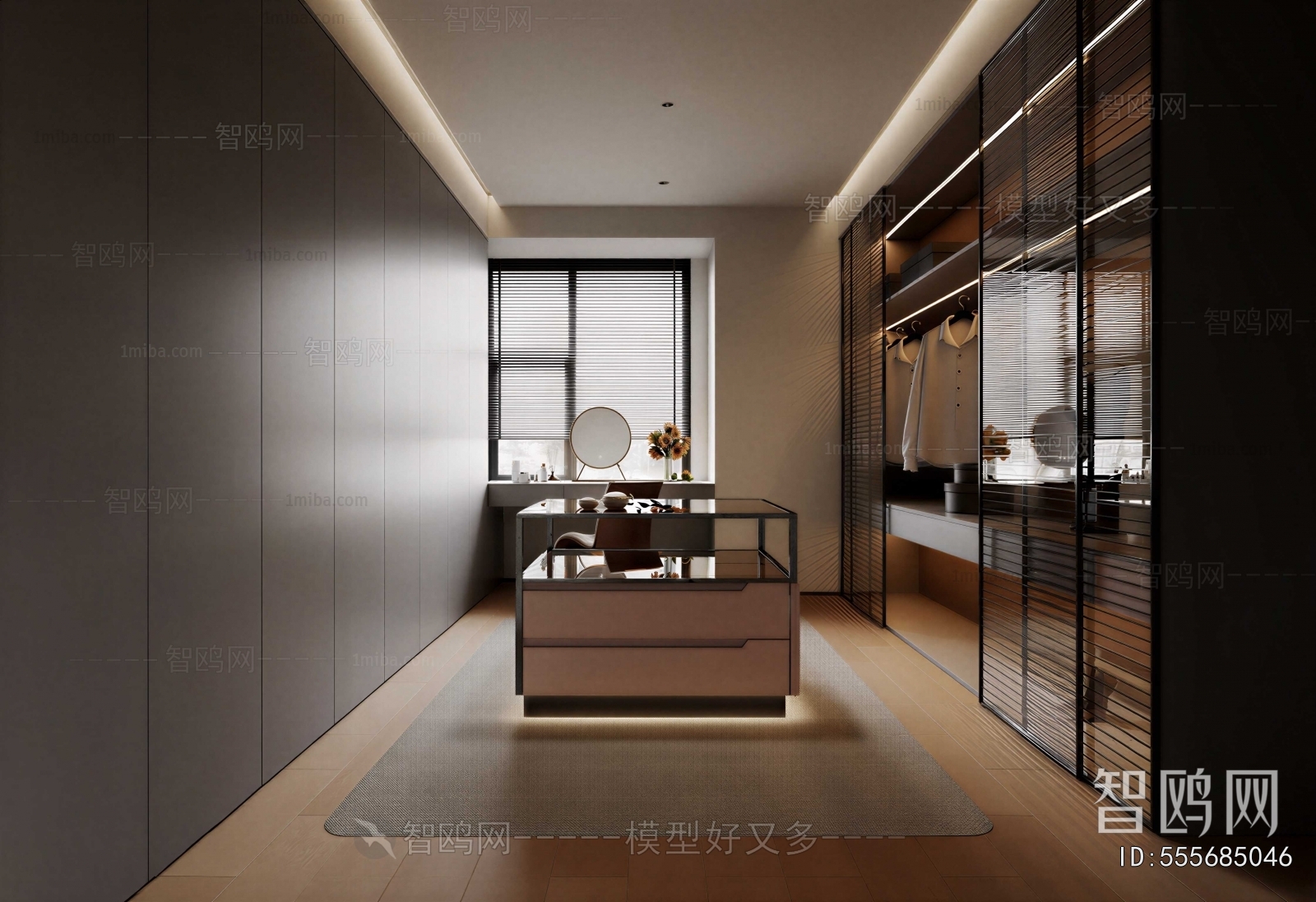 Modern Clothes Storage Area