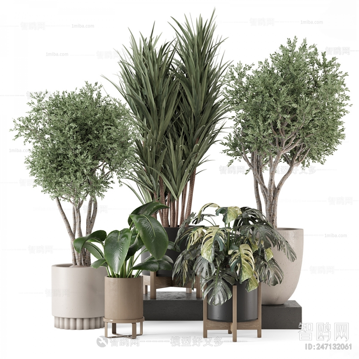Modern Ground Green Plant Potted Plants