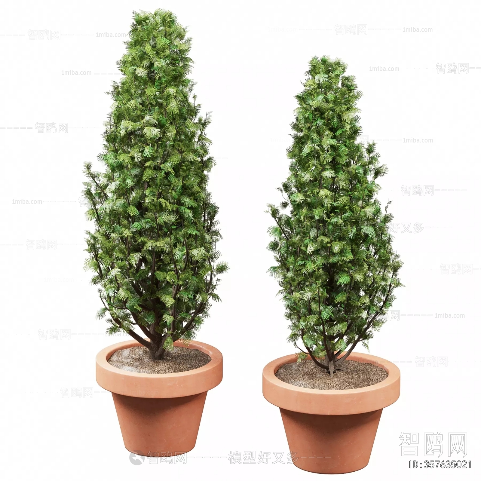 Modern Ground Green Plant Potted Plants