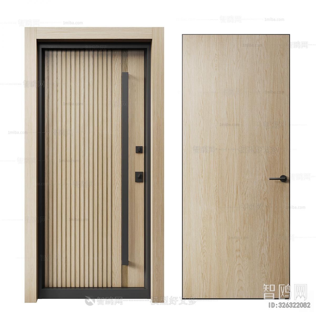 Modern Entrance Door