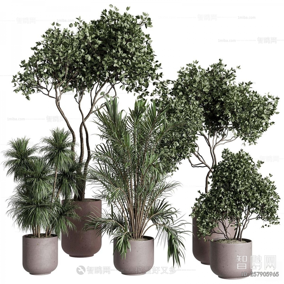 Modern Ground Green Plant Potted Plants