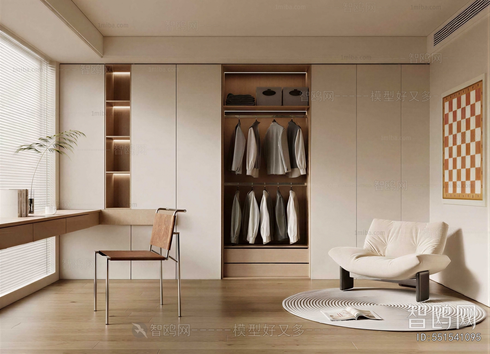 Modern Clothes Storage Area