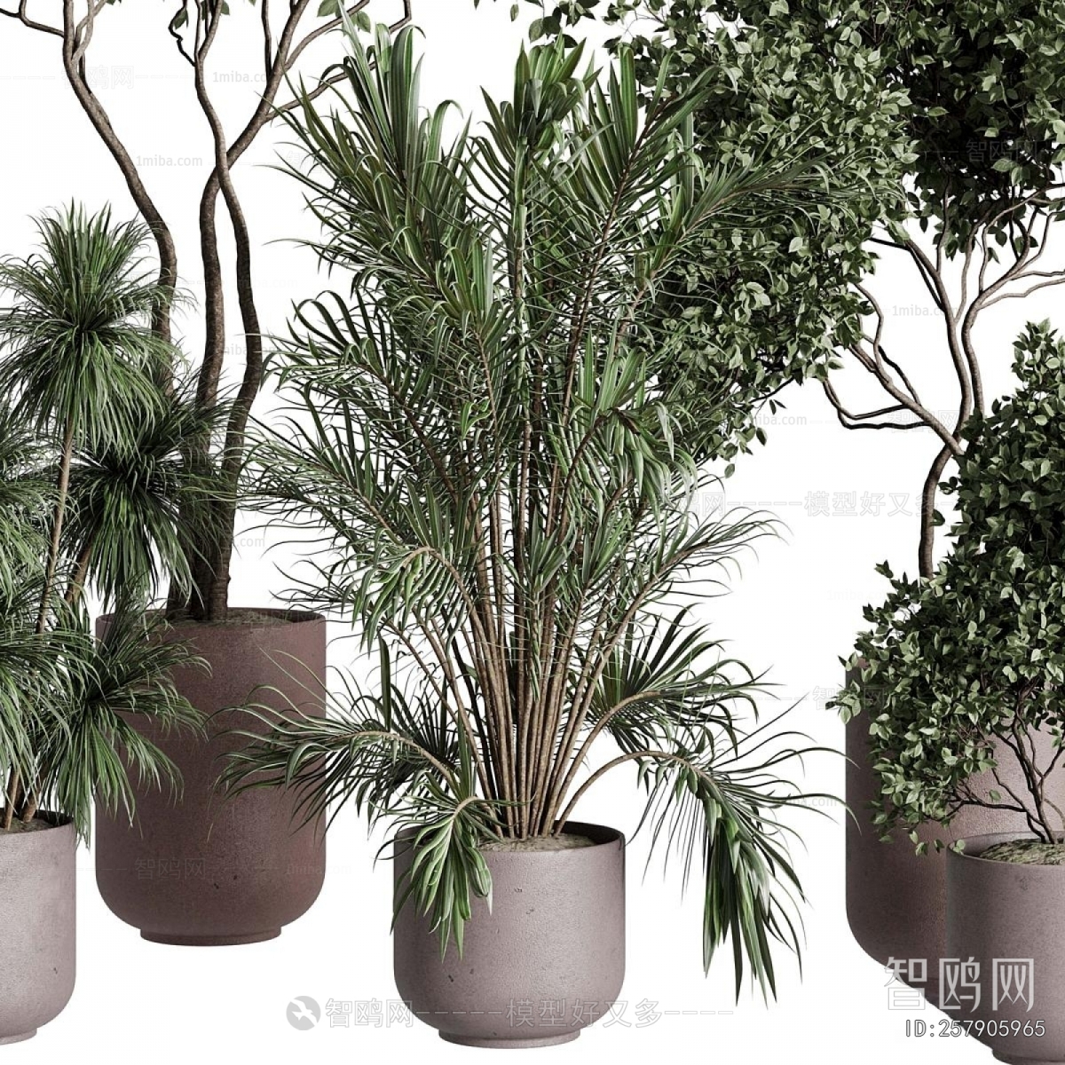 Modern Ground Green Plant Potted Plants