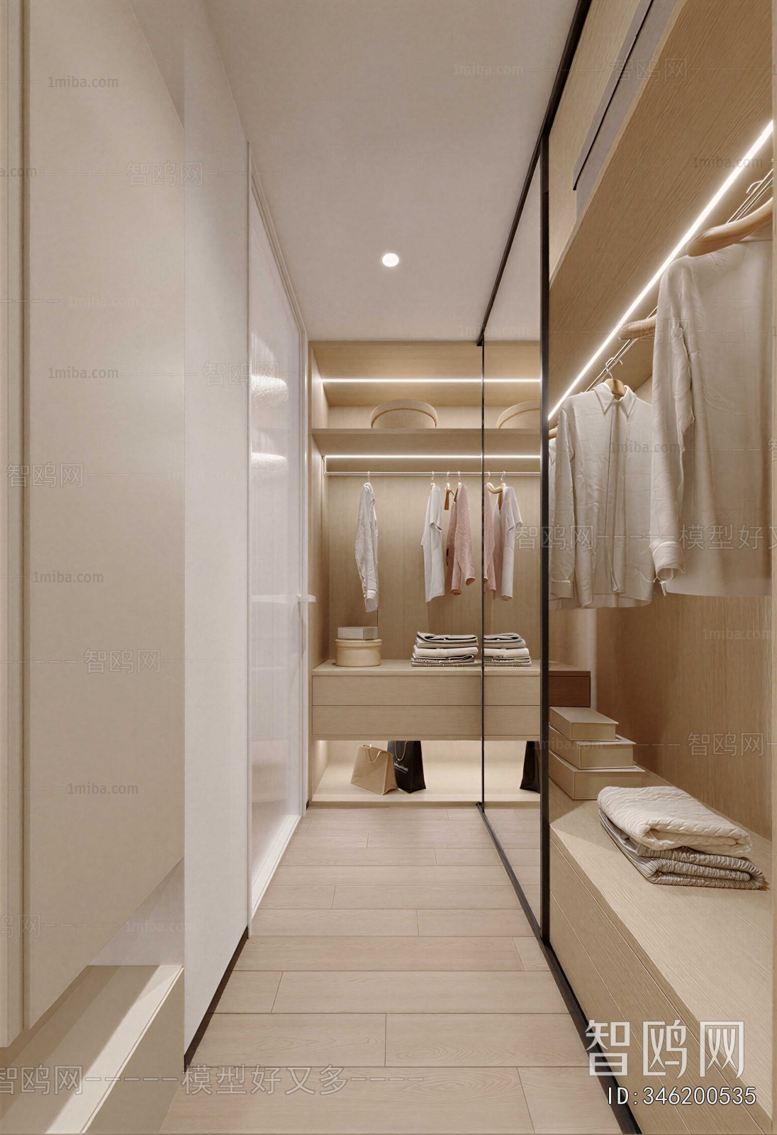 Modern Clothes Storage Area