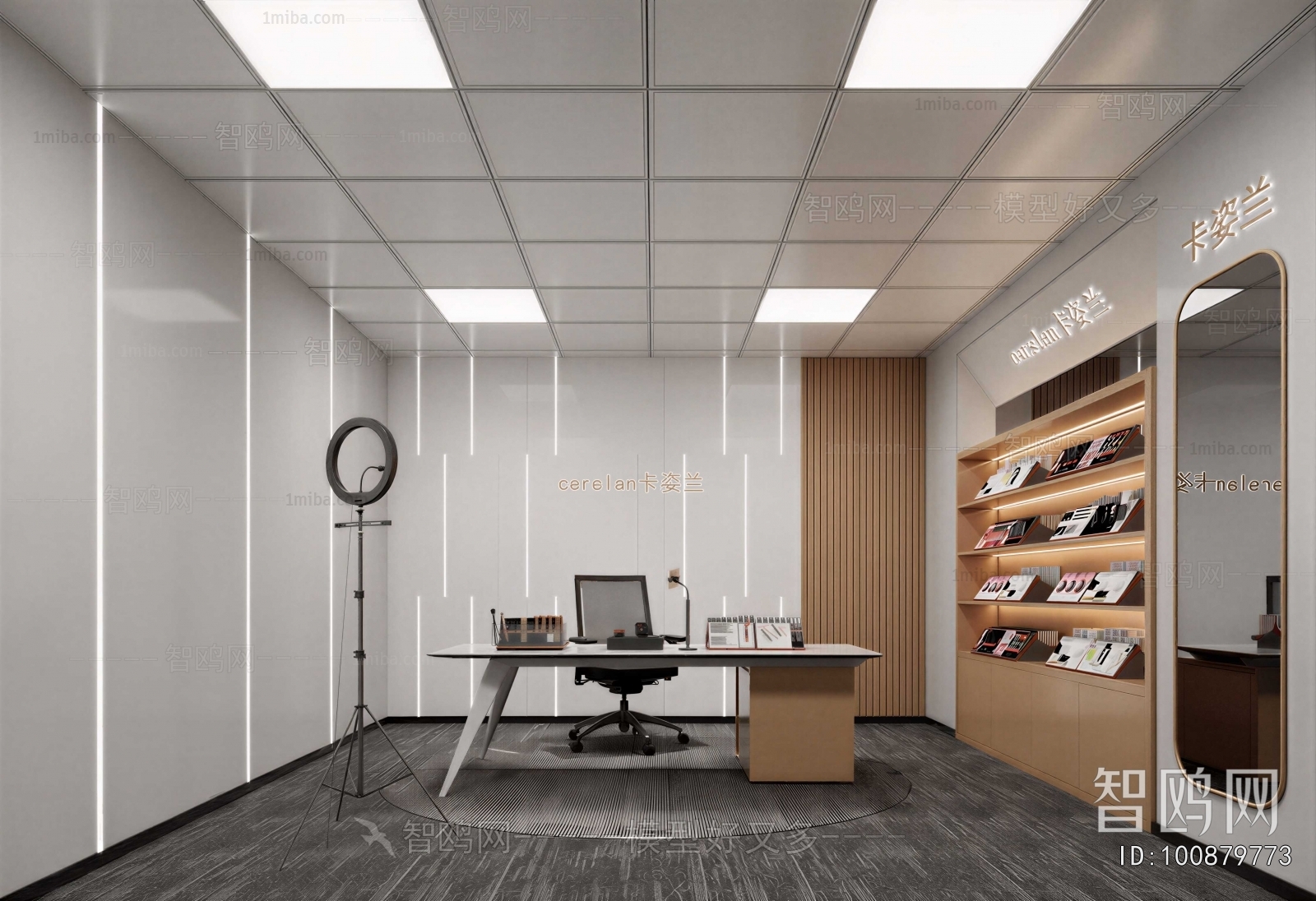 Modern Studio/Recording Studio/Live Room