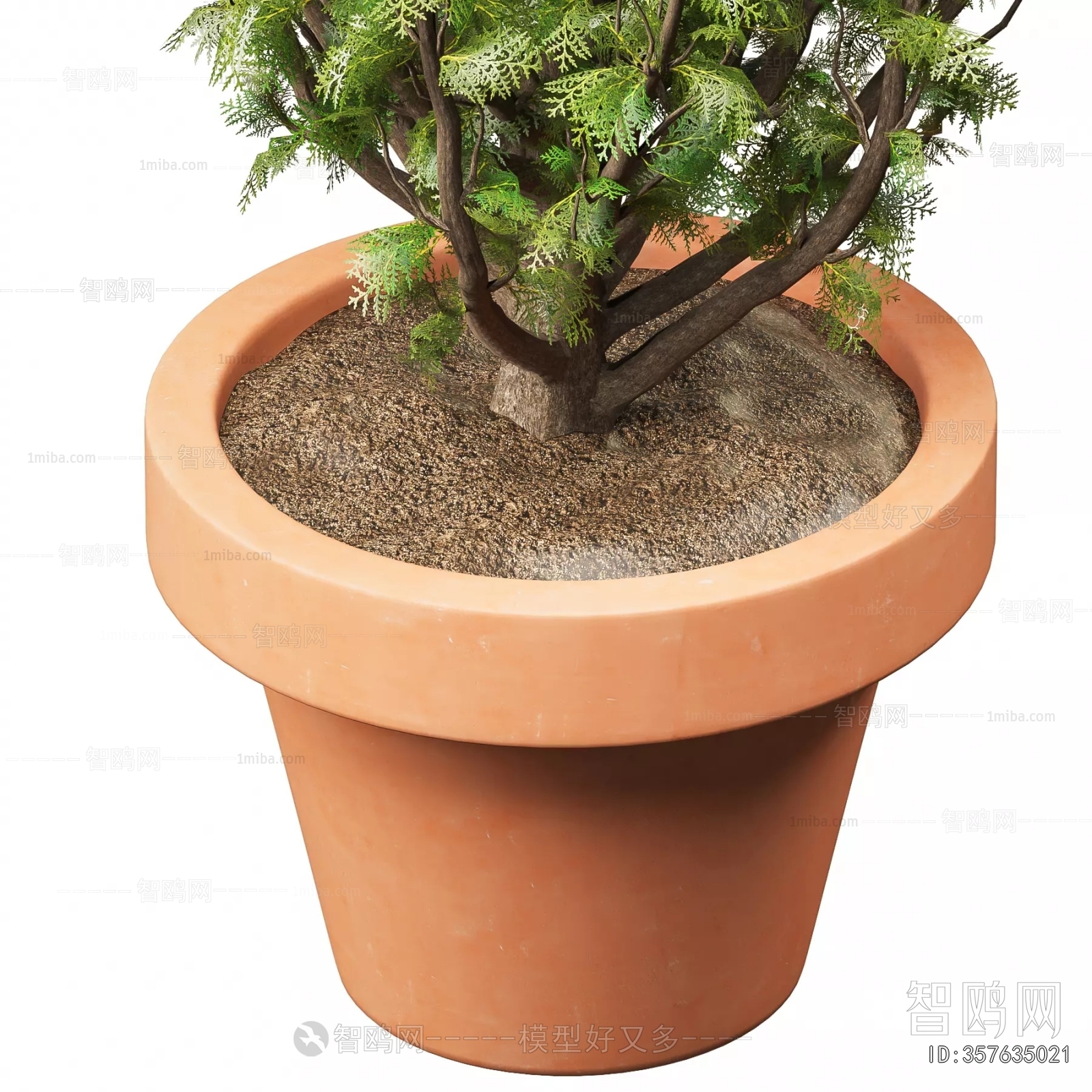 Modern Ground Green Plant Potted Plants