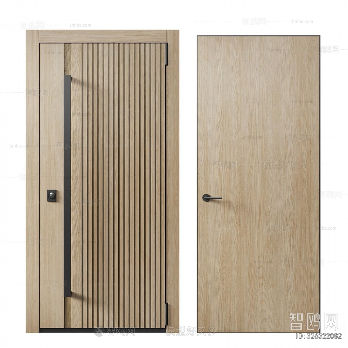 Modern Entrance Door
